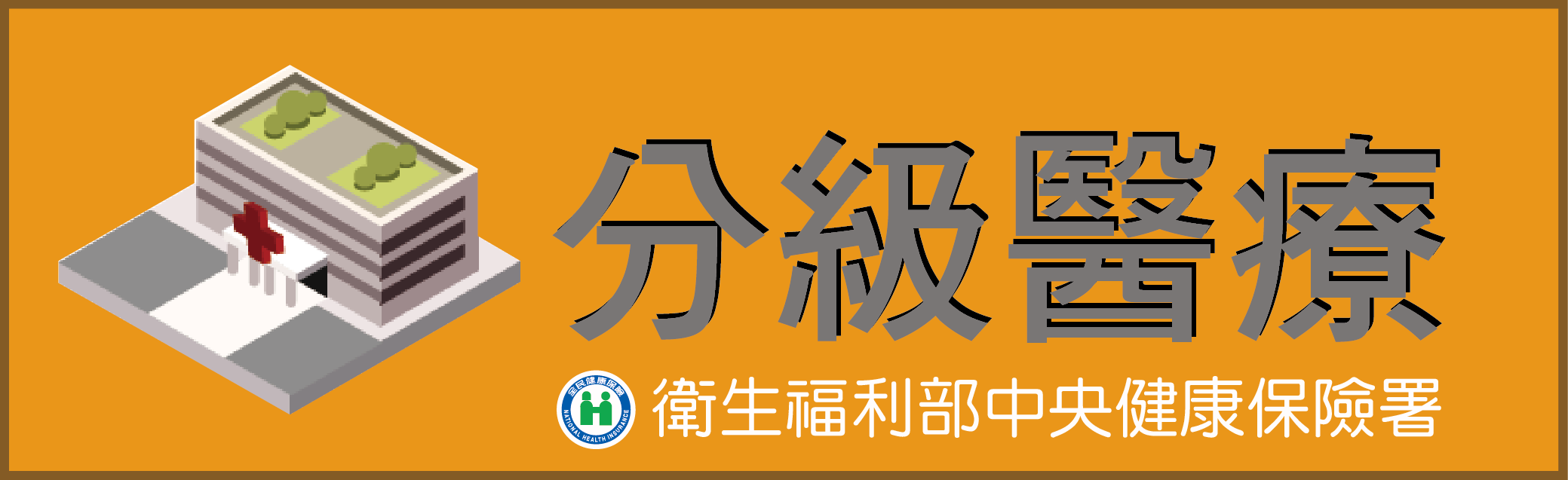 醫療分級